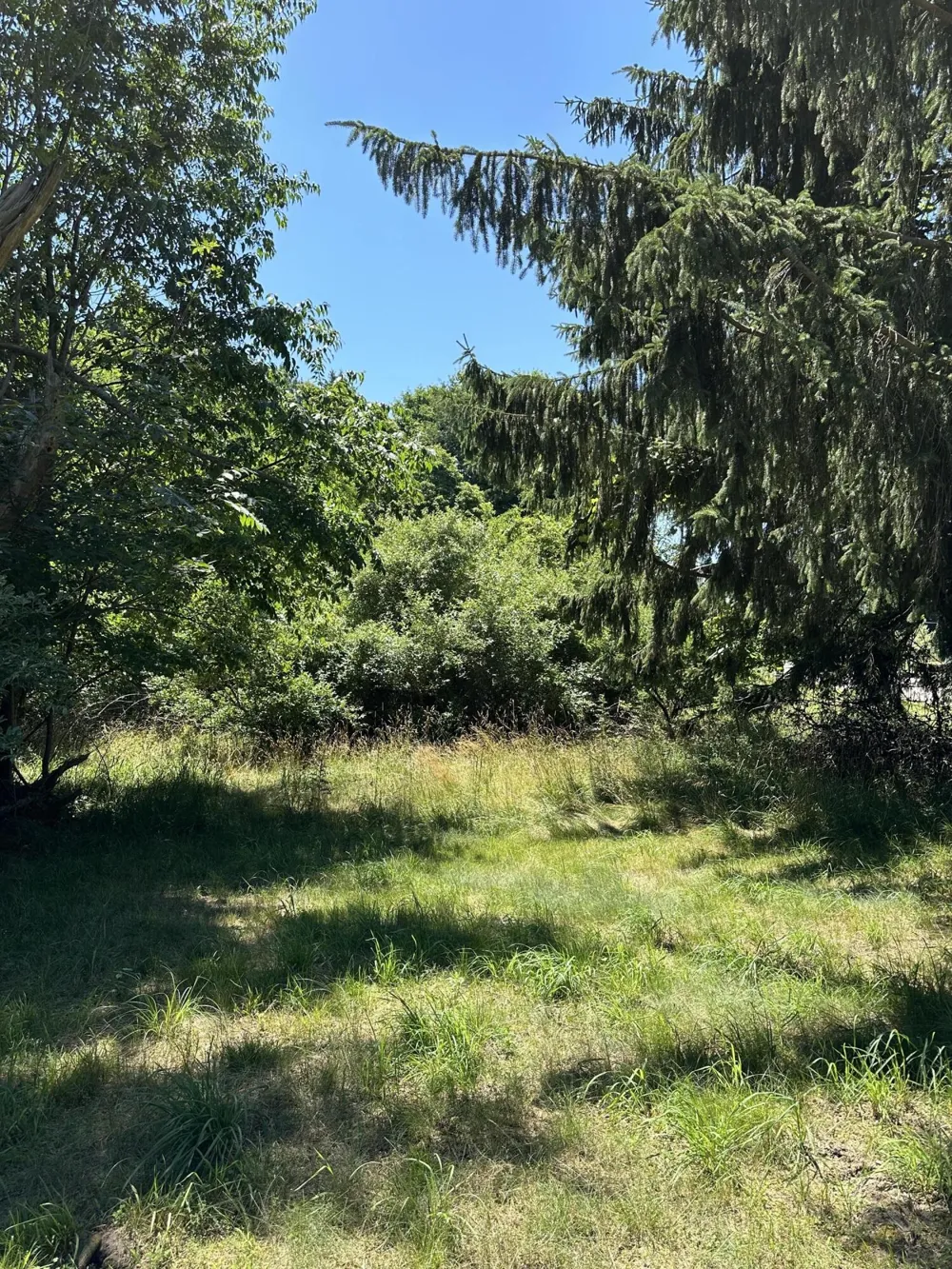 1 Christopher Lane South Haven, MI 49090