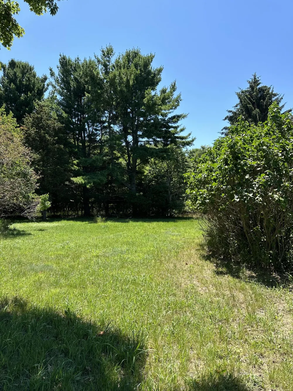 1 Christopher Lane South Haven, MI 49090