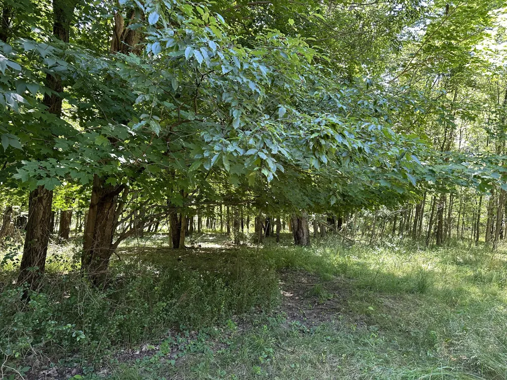 1 Christopher Lane South Haven, MI 49090