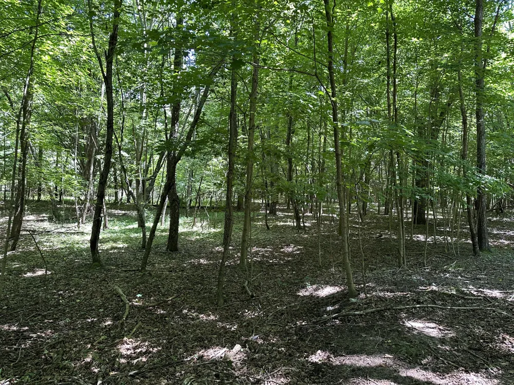 1 Christopher Lane South Haven, MI 49090