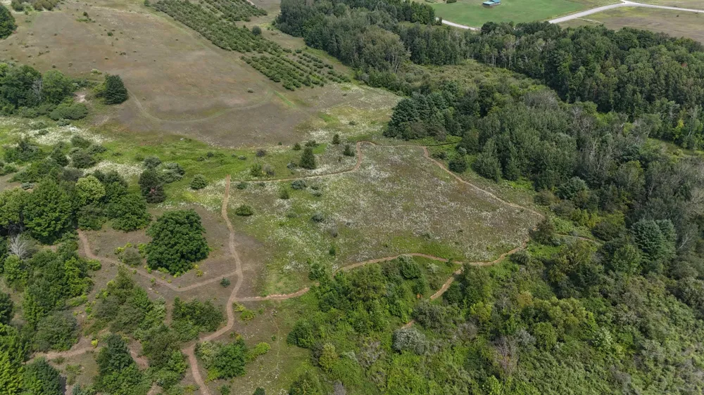 10611 E Omena Road Leelanau Township, MI 49670