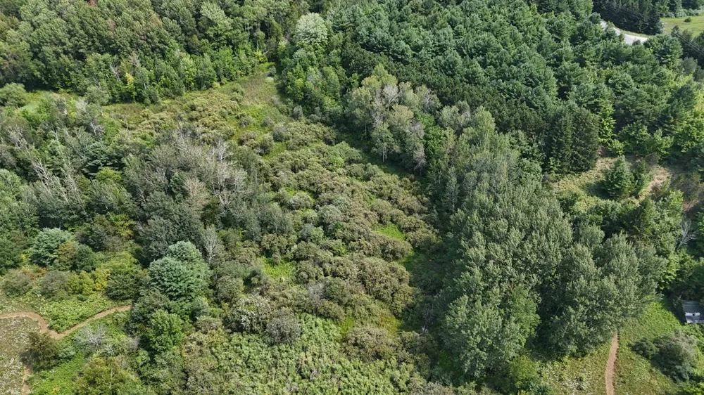 10611 E Omena Road Leelanau Township, MI 49670