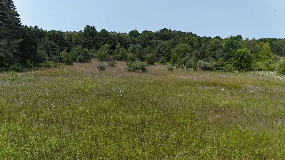 10611 E Omena Road Leelanau Township, MI 49670