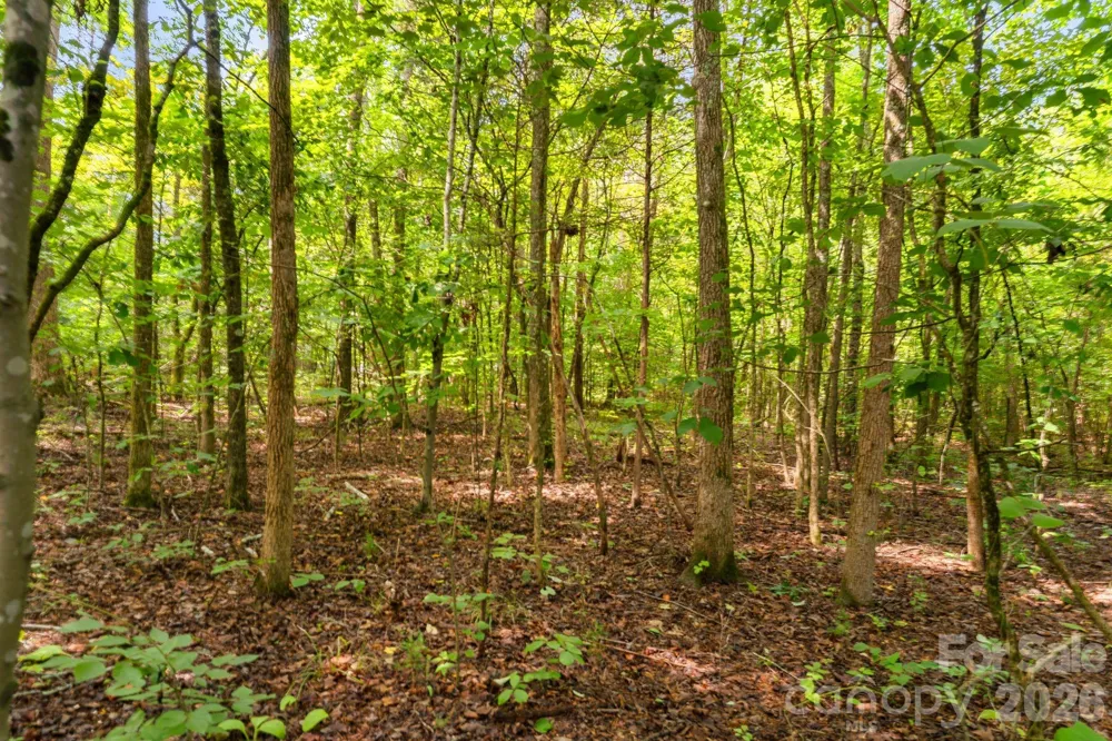 3312 McConnells Highway W Sharon, SC 29742