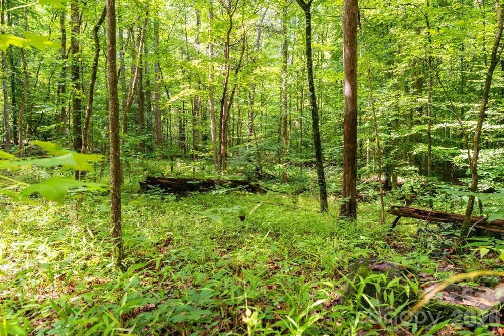 3312 McConnells Highway W Sharon, SC 29742