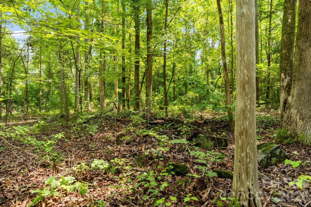 3312 McConnells Highway W Sharon, SC 29742