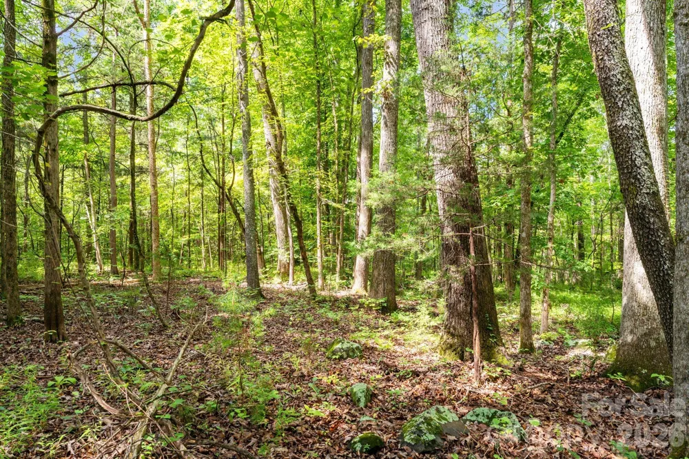 3312 McConnells Highway W Sharon, SC 29742