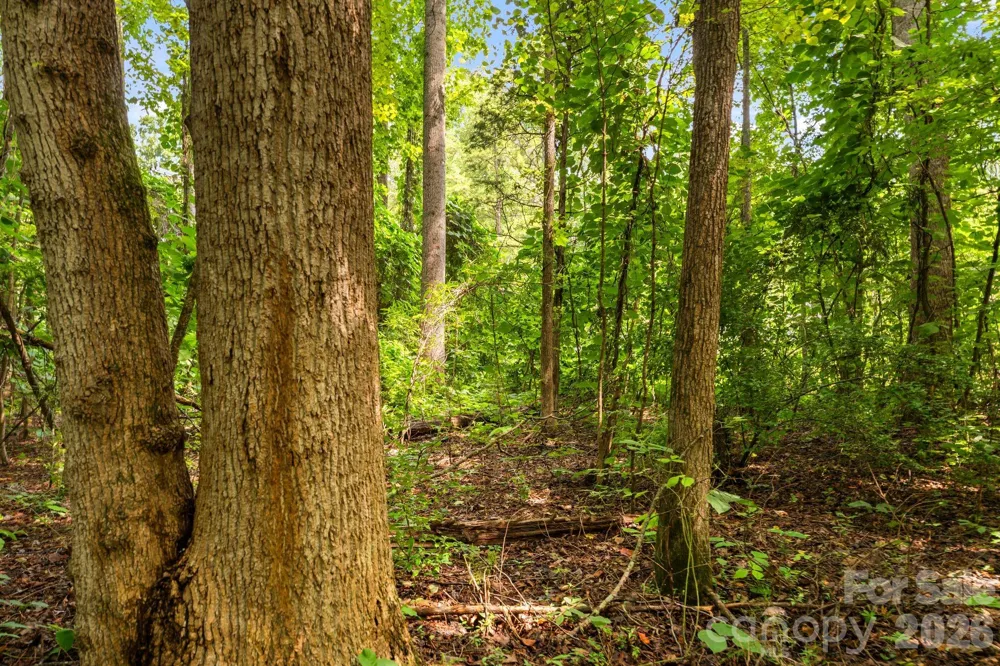 3312 McConnells Highway W Sharon, SC 29742