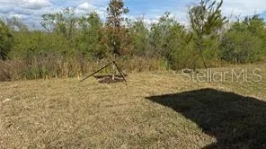 1629 TROPICAL OASIS AVENUE Plant City, FL 33565