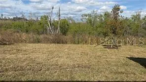 1629 TROPICAL OASIS AVENUE Plant City, FL 33565