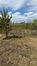 1629 TROPICAL OASIS AVENUE Plant City, FL 33565