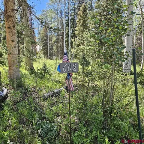 602 Snowshoe Lane