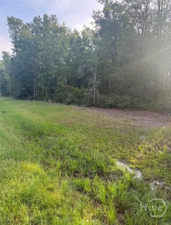 Brogdon Road Guyton, GA 31312