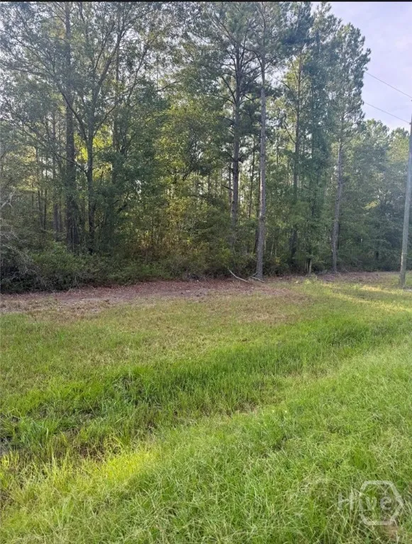 Brogdon Road Guyton, GA 31312