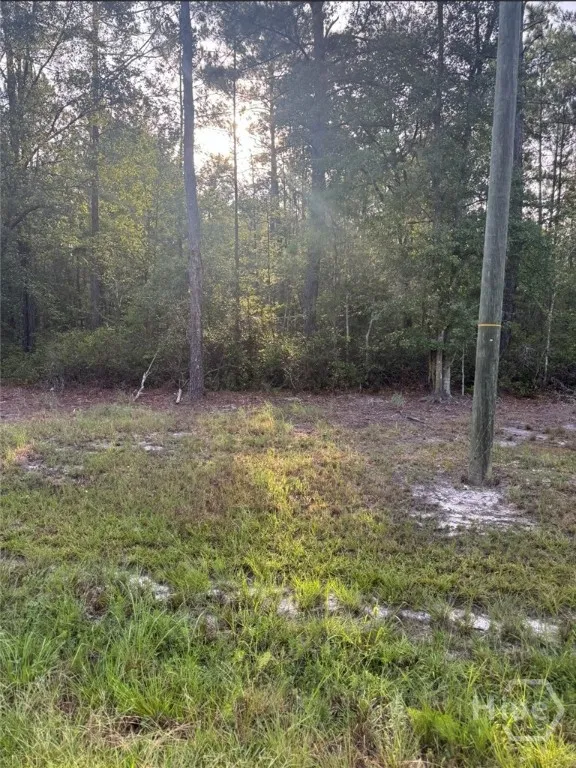 Brogdon Road Guyton, GA 31312