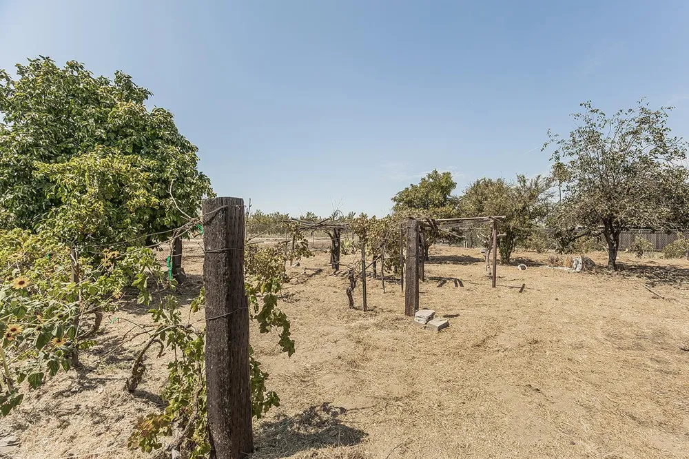 9016 E Dinuba Avenue Selma, CA 93662