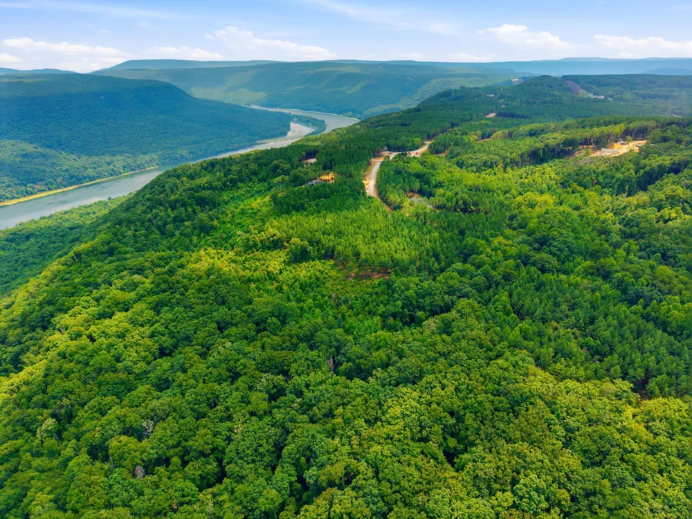 River Bend Road Guild, TN 37340