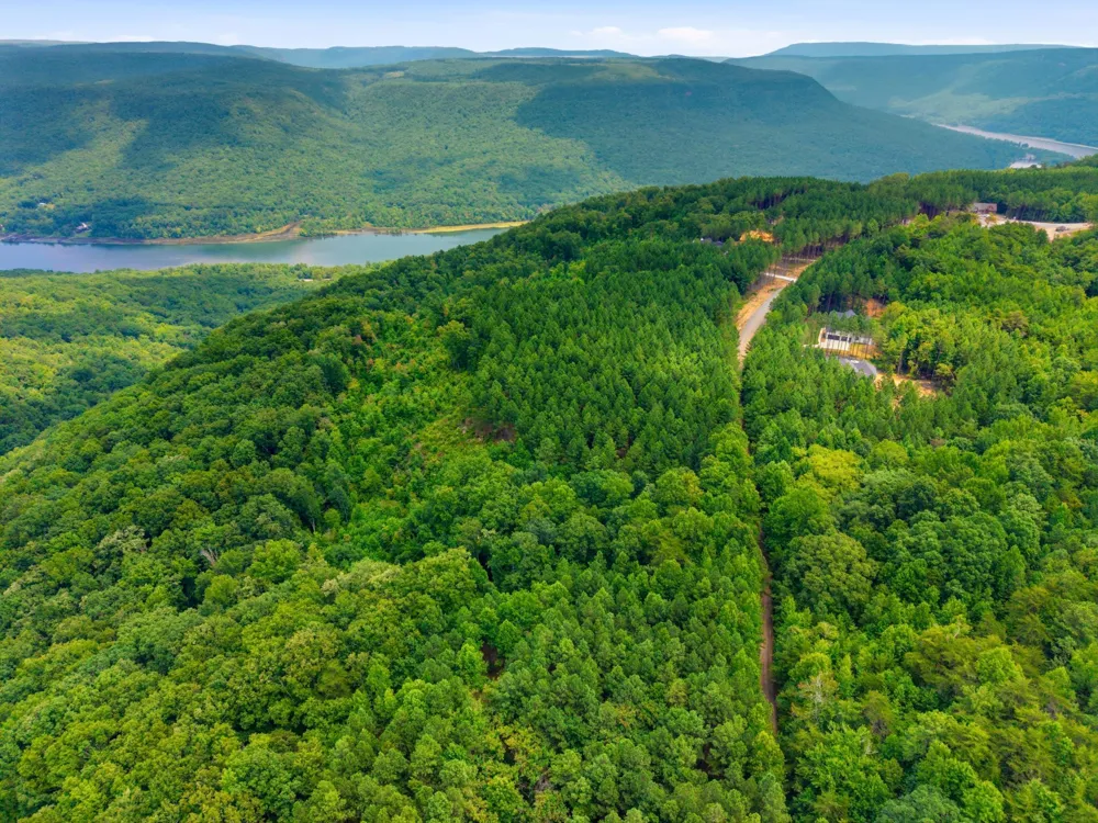 River Bend Road Guild, TN 37340