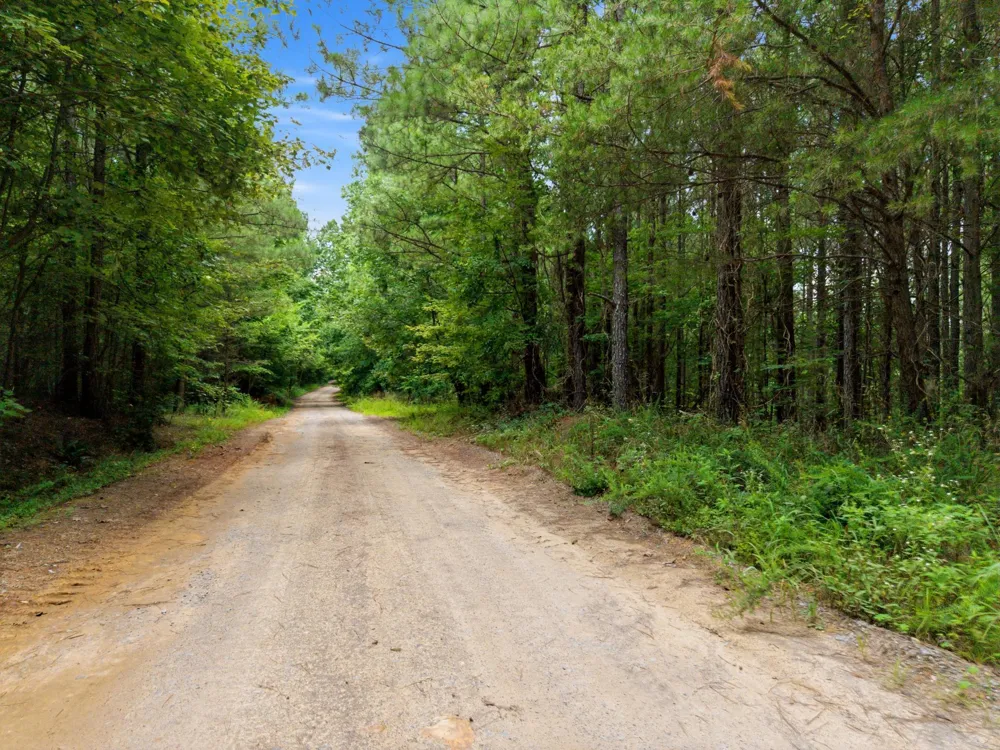 River Bend Road Guild, TN 37340