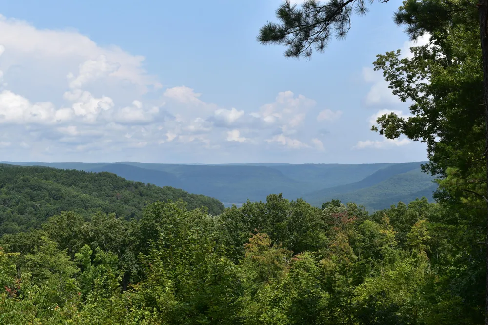 River Bend Road Guild, TN 37340