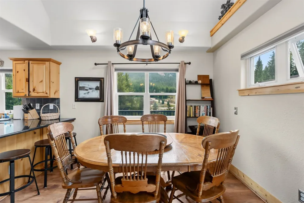 195 97 CIRCLE Blue River, CO 80424