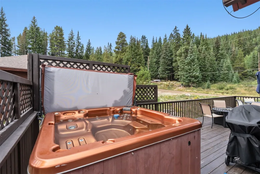 195 97 CIRCLE Blue River, CO 80424