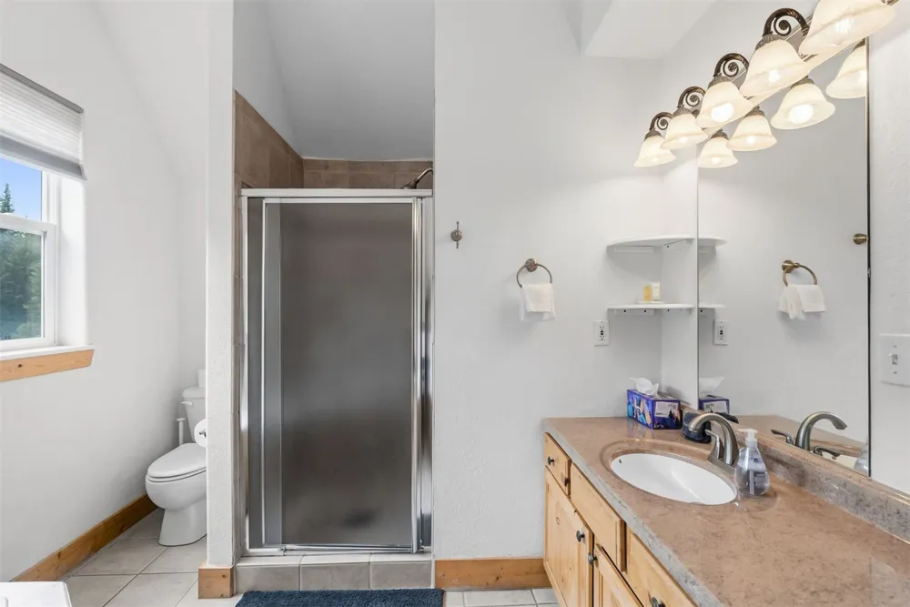 195 97 CIRCLE Blue River, CO 80424