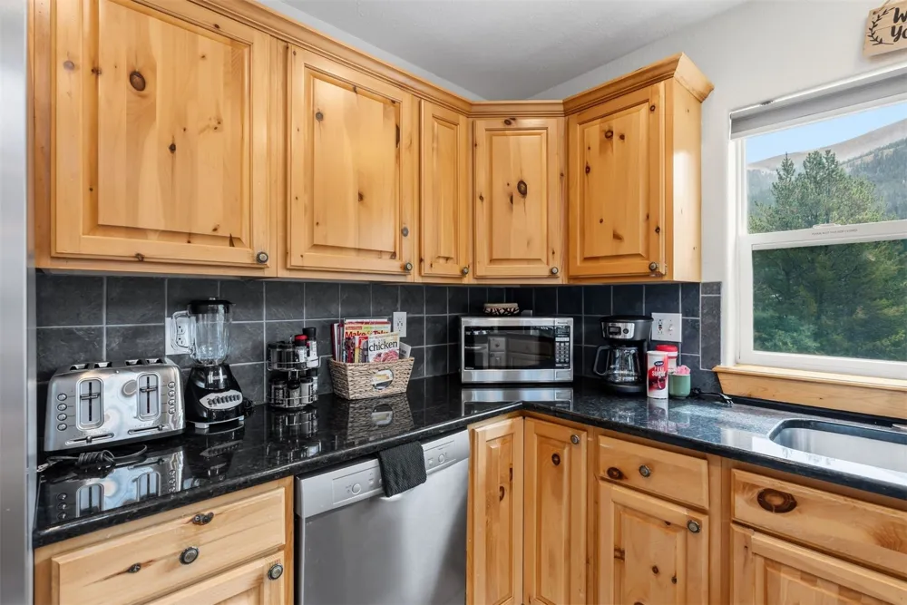195 97 CIRCLE Blue River, CO 80424