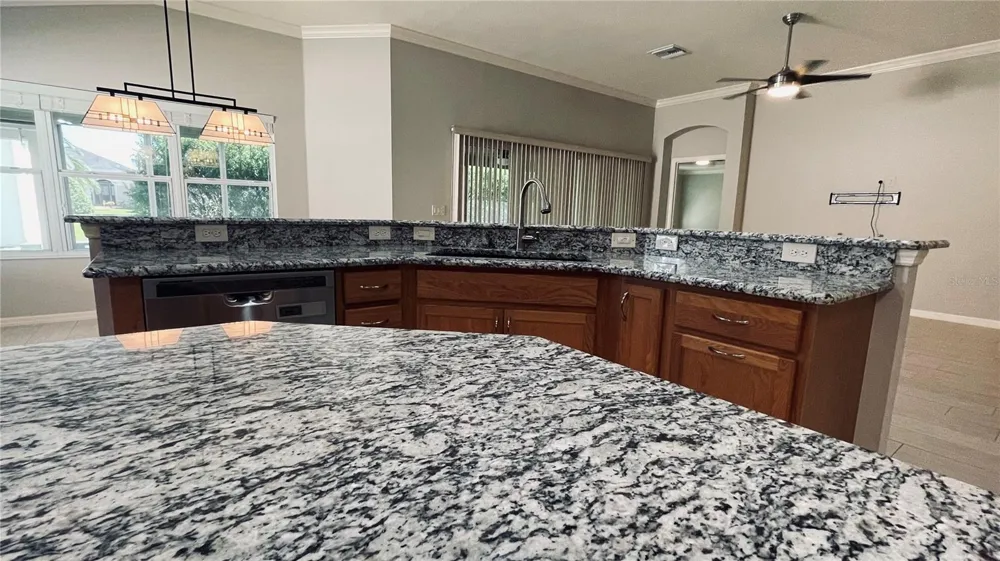 443 POMEGRANATE PATH The Villages, FL 32163