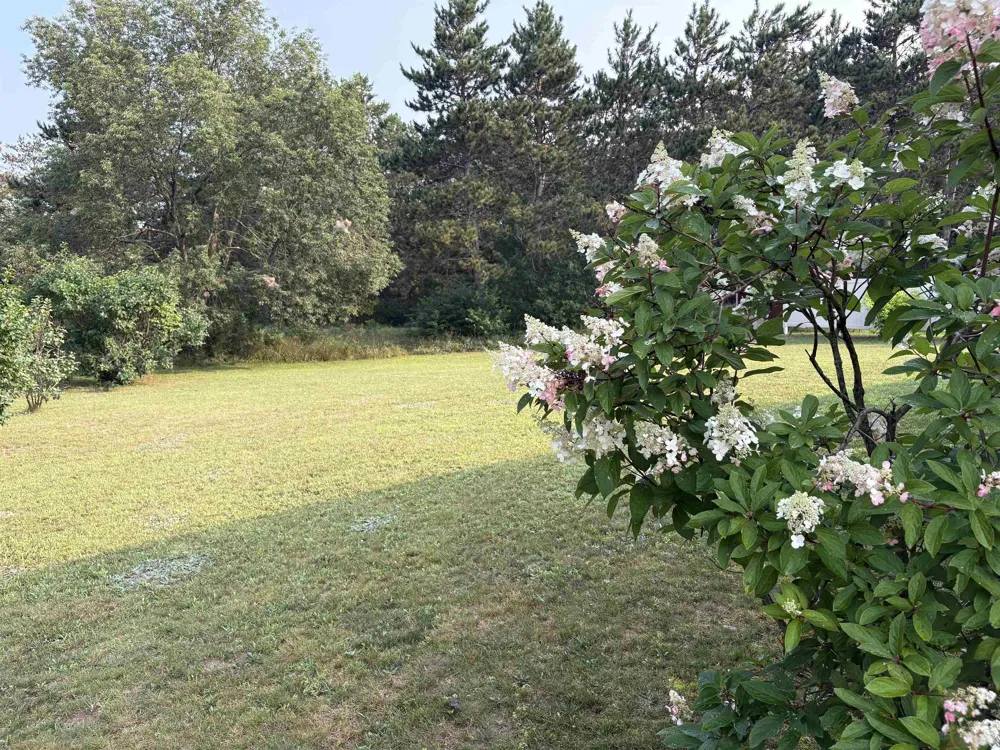 1790 Hansen Circle Blair Township, MI 49685