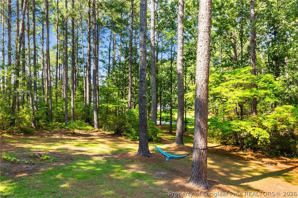 16401 Lakeshore Drive Wagram, NC 28396