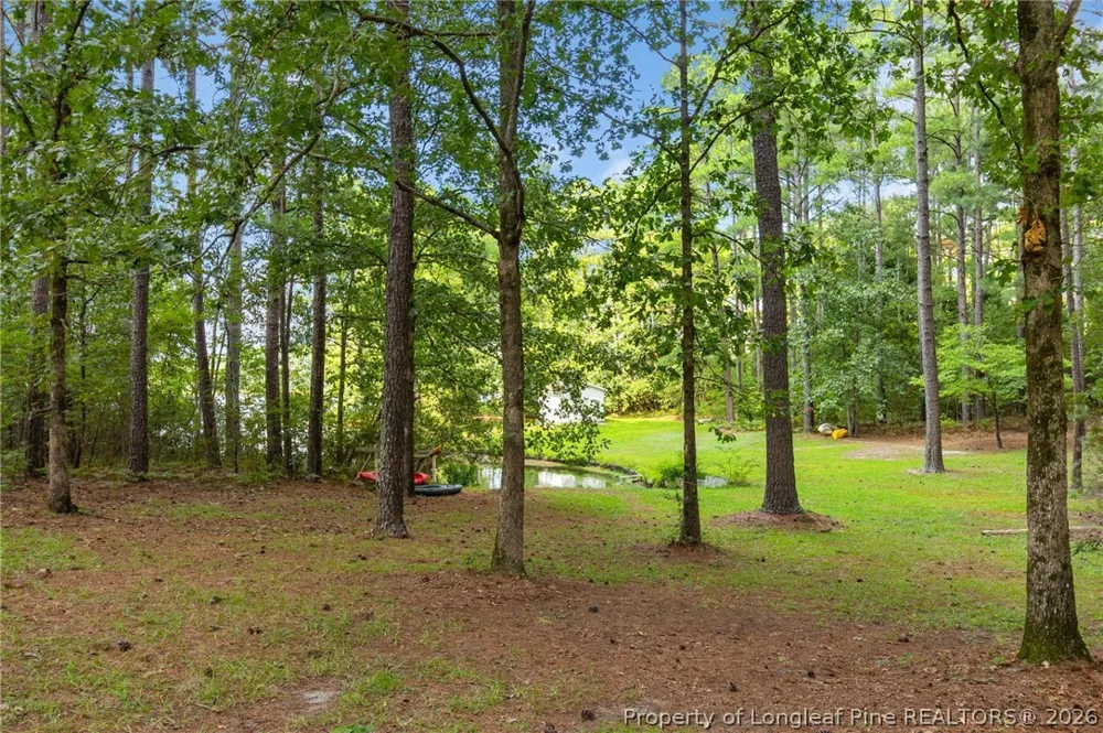 16401 Lakeshore Drive Wagram, NC 28396