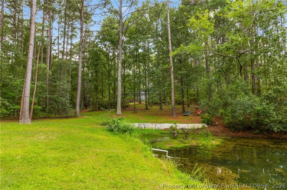 16401 Lakeshore Drive Wagram, NC 28396