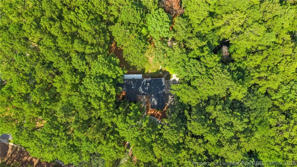 16401 Lakeshore Drive Wagram, NC 28396