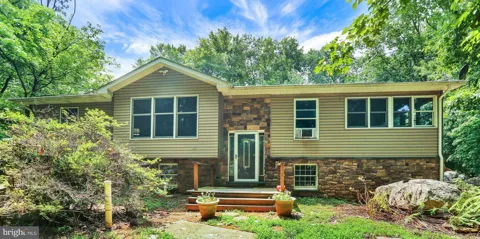 19 WOODS LANE