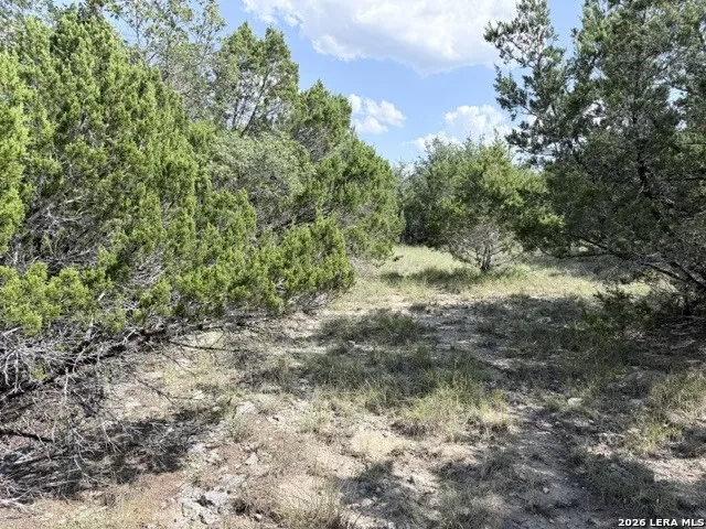4045 Fire Candle Spring Branch, TX 78070
