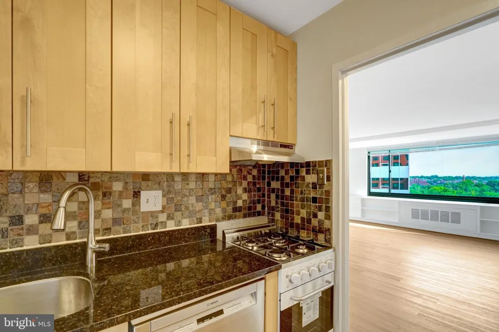 1021 ARLINGTON BOULEVARD #818 Arlington, VA 22209