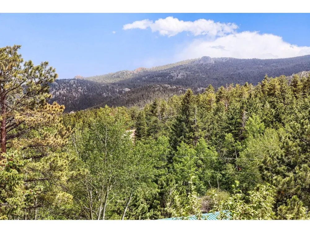 449 Highway 7 Business Allenspark, CO 80510