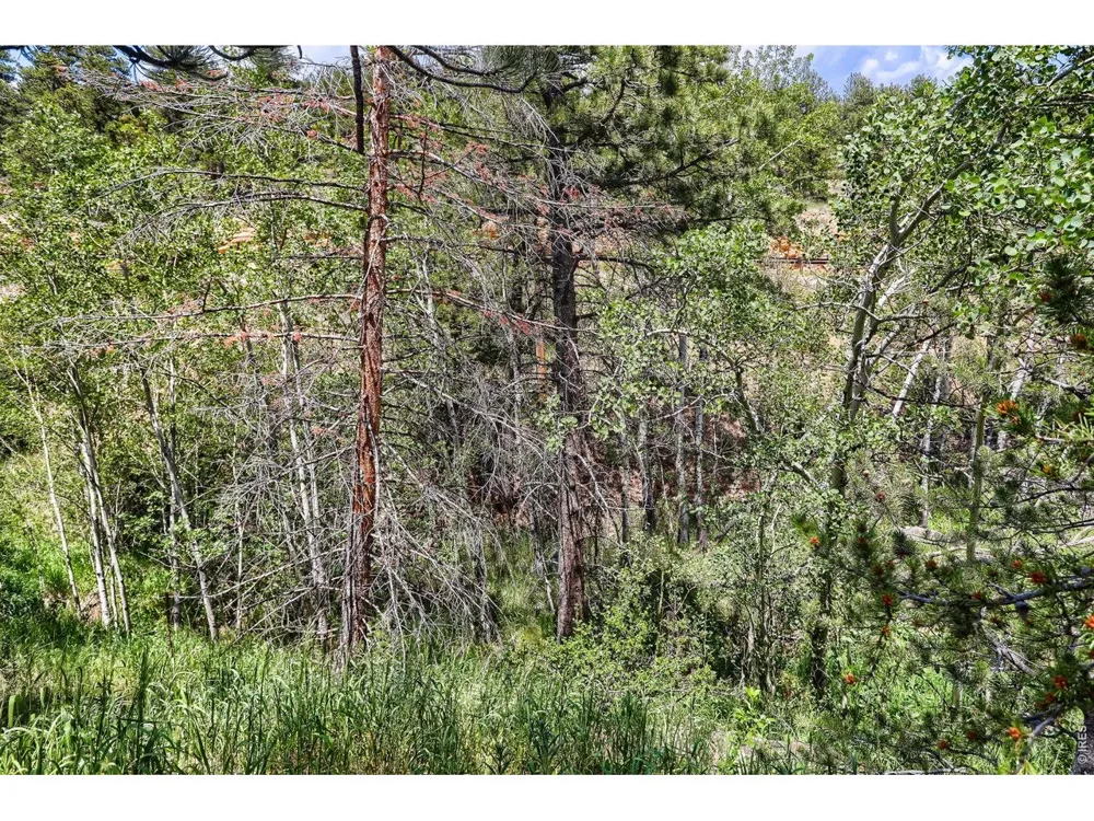 449 Highway 7 Business Allenspark, CO 80510