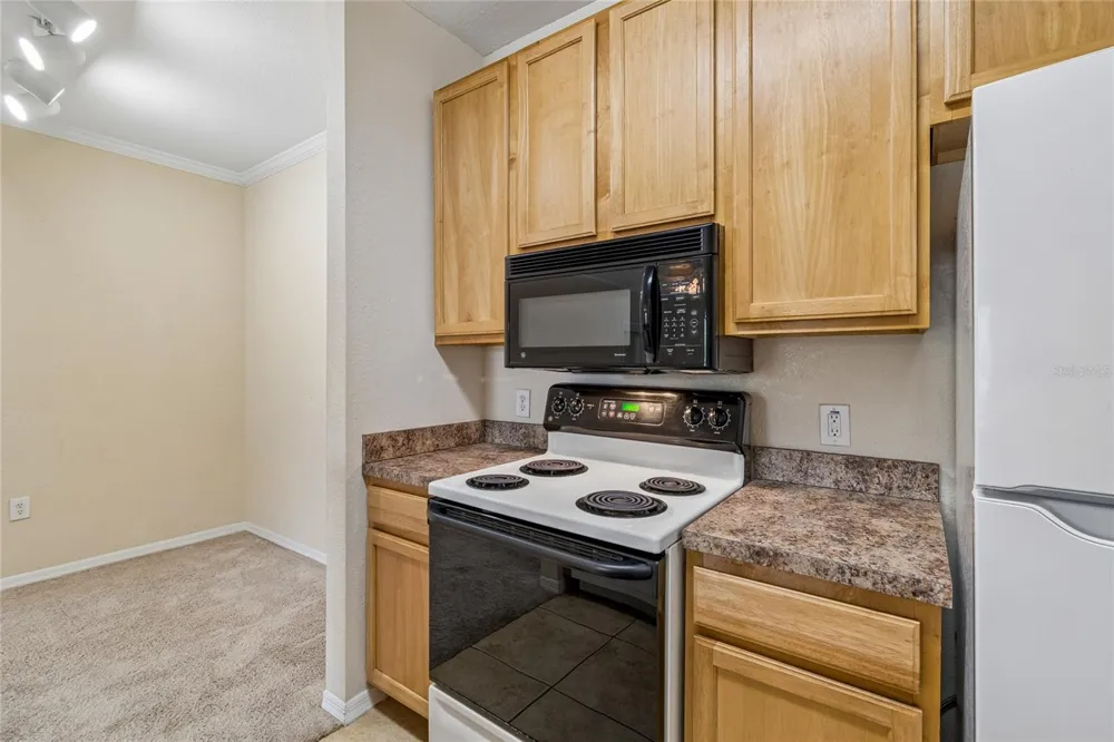 10203 COURTNEY PALMS BOULEVARD #103 Tampa, FL 33619