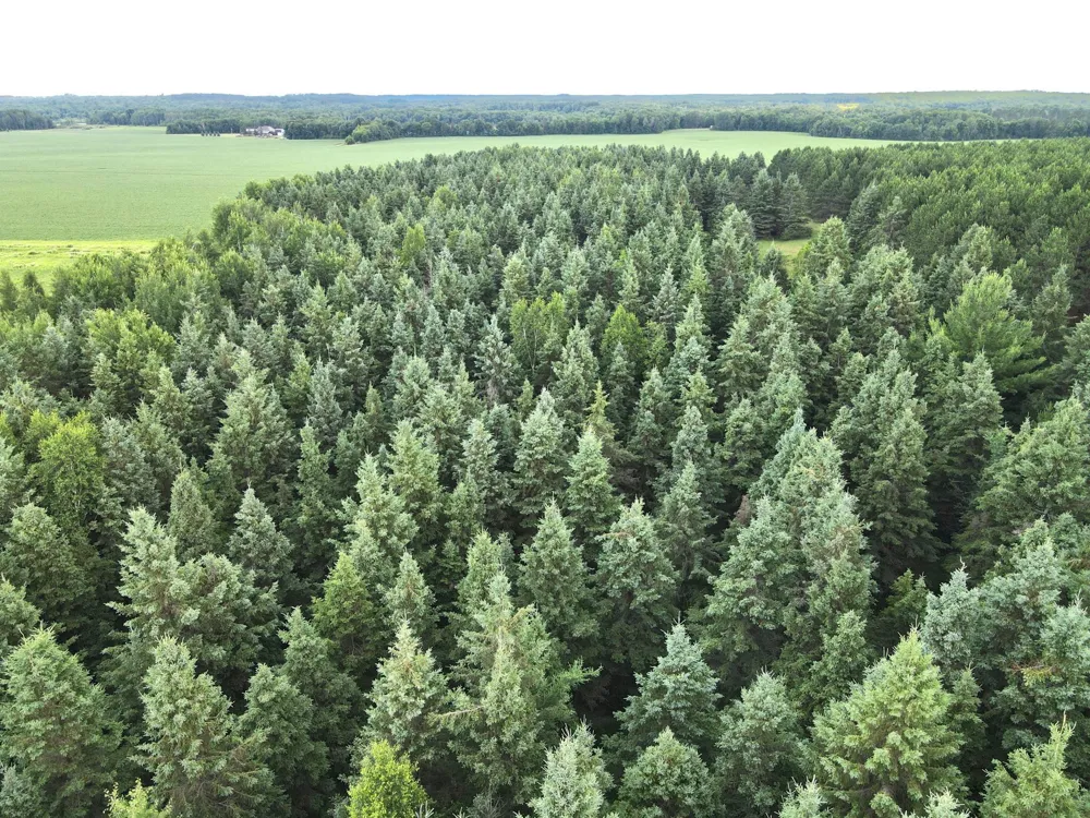 TBD- Parcel D Sleepy Hollow Road Brainerd, MN 56401