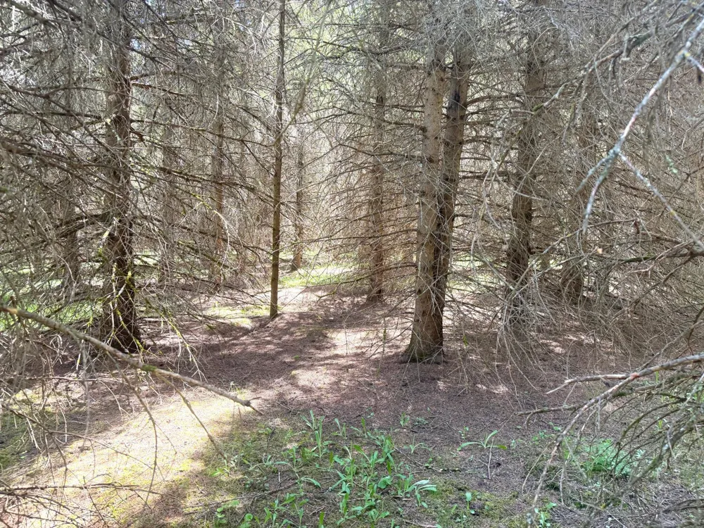 TBD- Parcel D Sleepy Hollow Road Brainerd, MN 56401