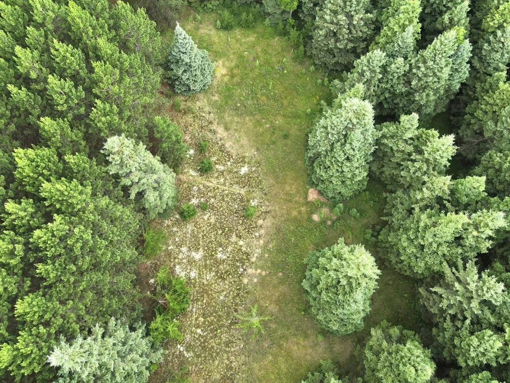 TBD- Parcel C Sleepy Hollow Road Brainerd, MN 56401