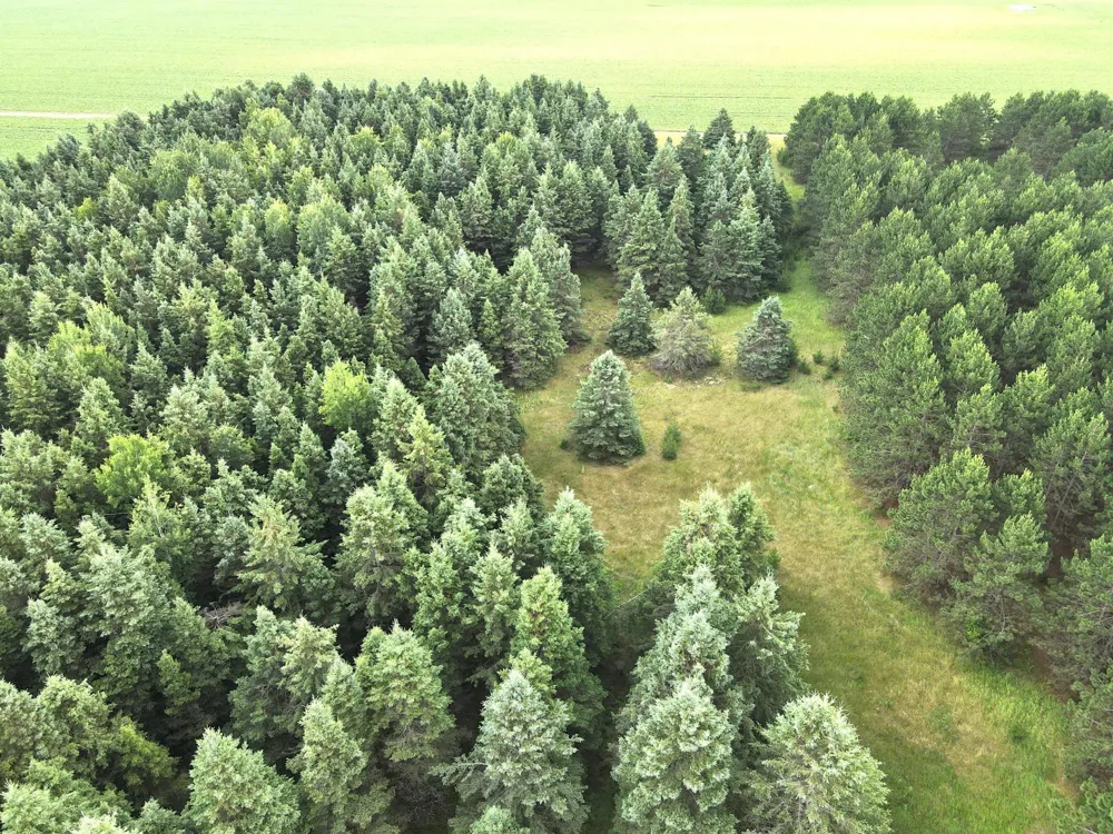 TBD- Parcel C Sleepy Hollow Road Brainerd, MN 56401
