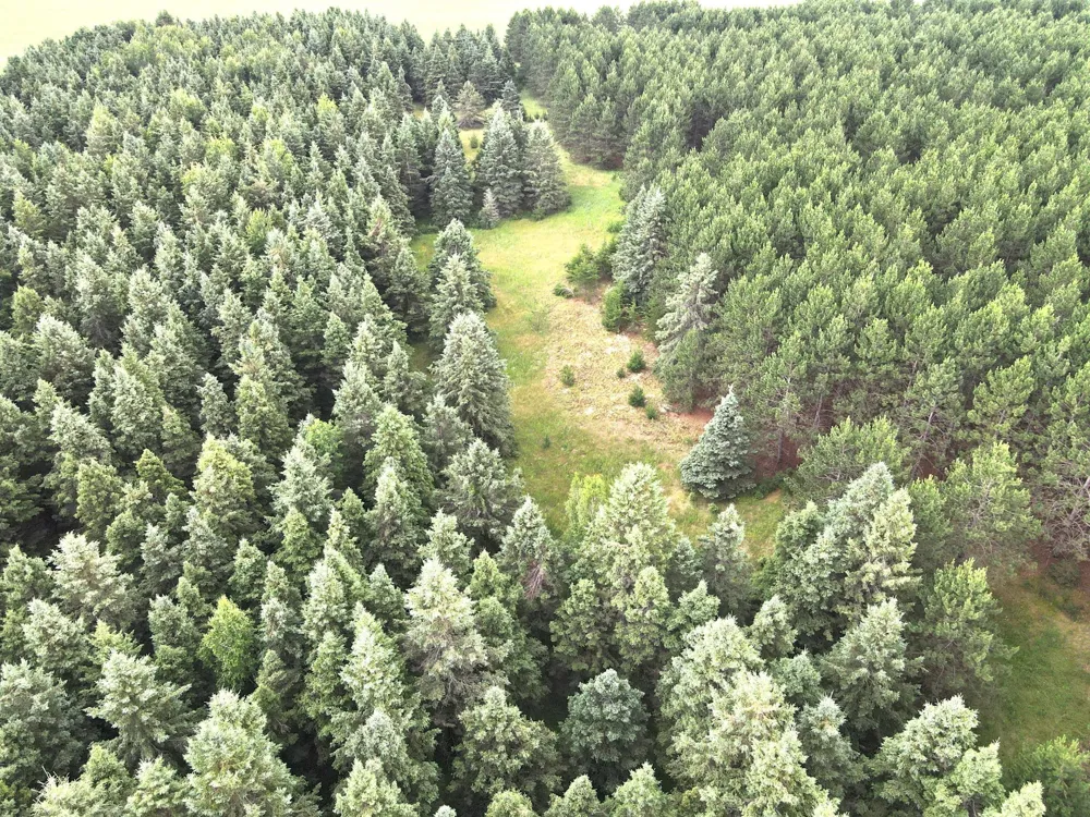 TBD- Parcel C Sleepy Hollow Road Brainerd, MN 56401