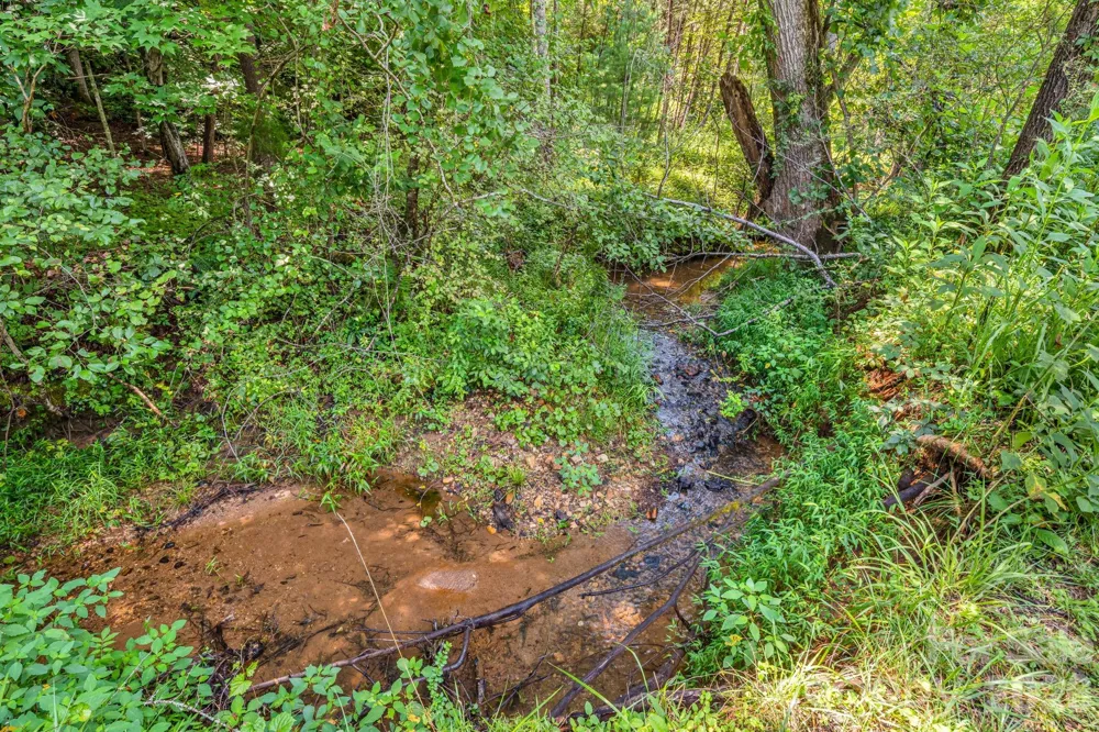 242 Whitney Boulevard Lake Lure, NC 28746