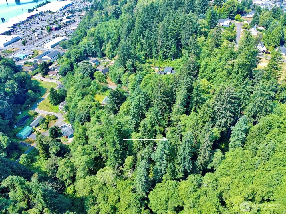 0 Blk 4 Lots 20-22 Pioneer Blvd Aberdeen, WA 98520