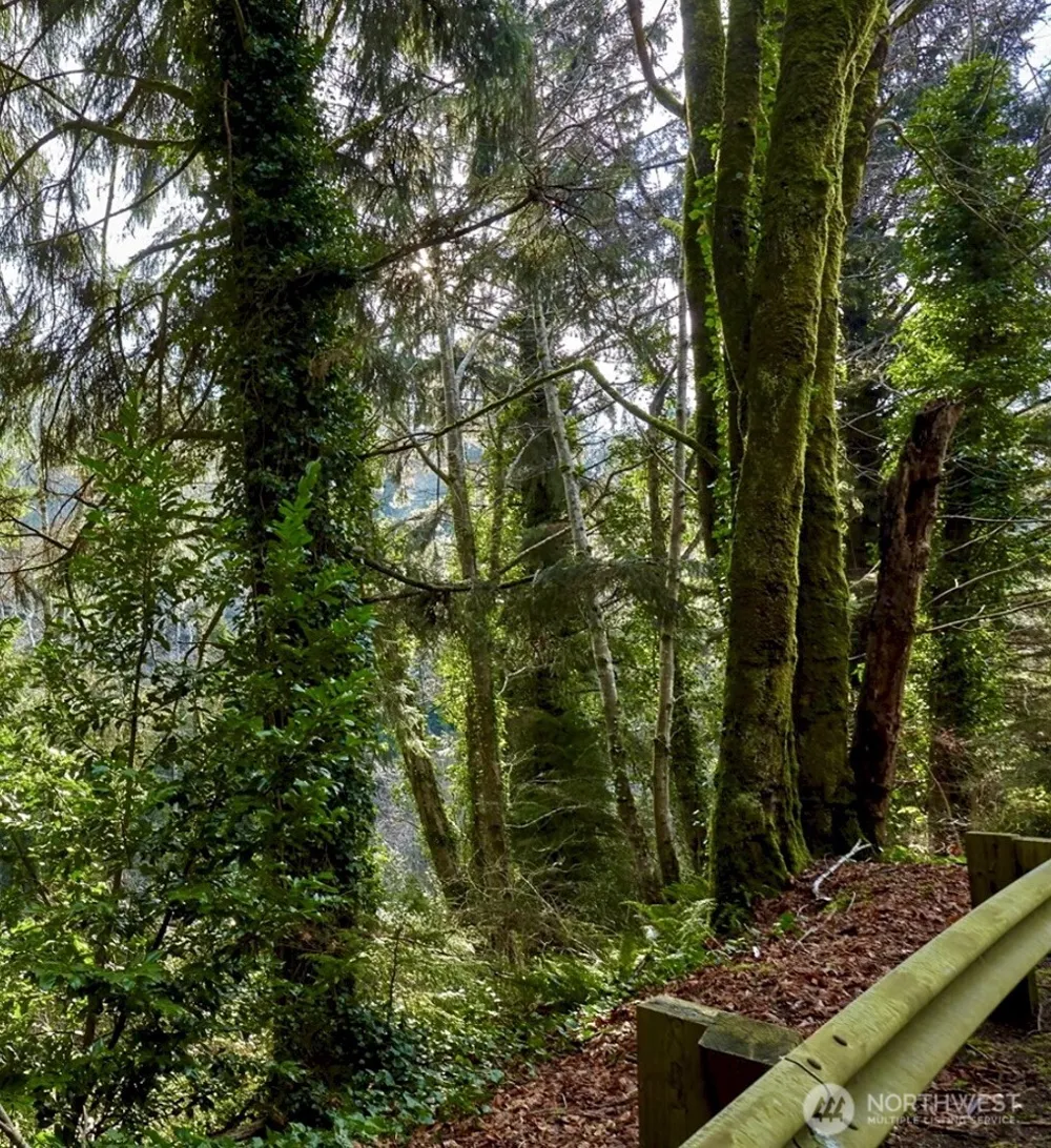 0 Blk 4 Lots 20-22 Pioneer Blvd Aberdeen, WA 98520