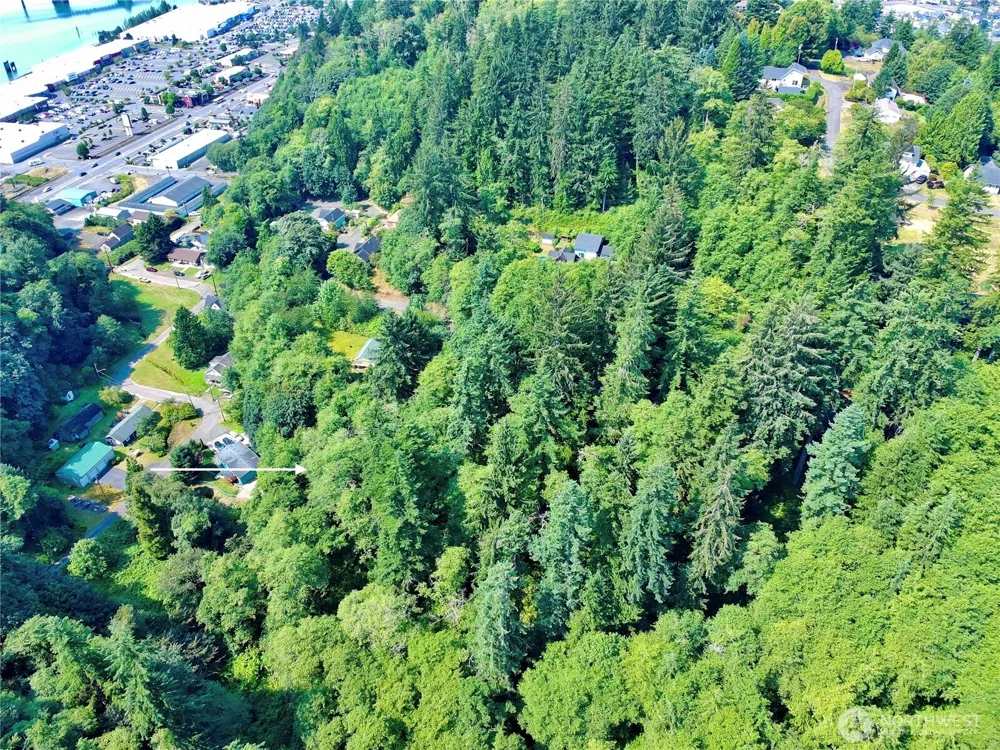 0 Blk 4 Lots 15-16 Pioneer Boulevard Aberdeen, WA 98520