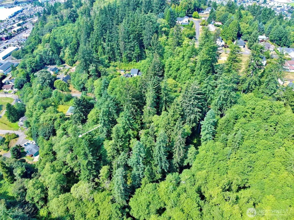 0 Blk 4 Lots 15-16 Pioneer Boulevard Aberdeen, WA 98520